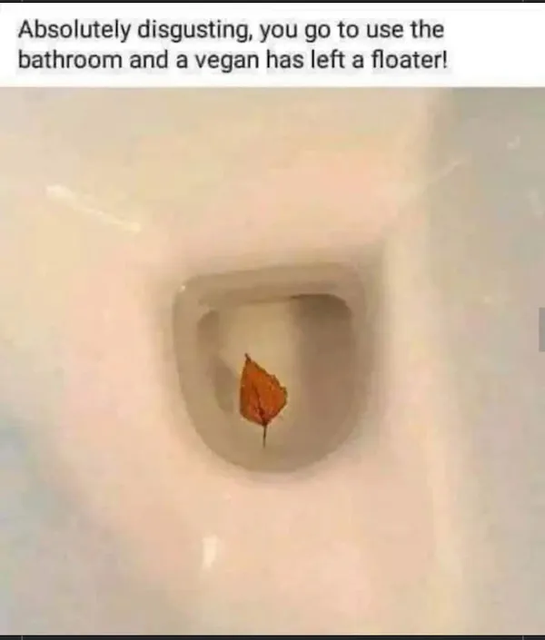 1748903754096.png