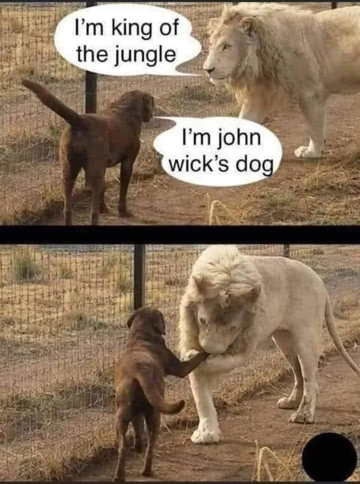 1748946762255.png