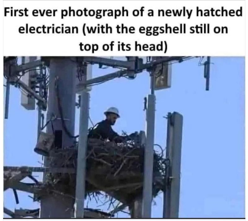 1749081529176.png
