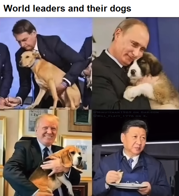 1749177928161.png