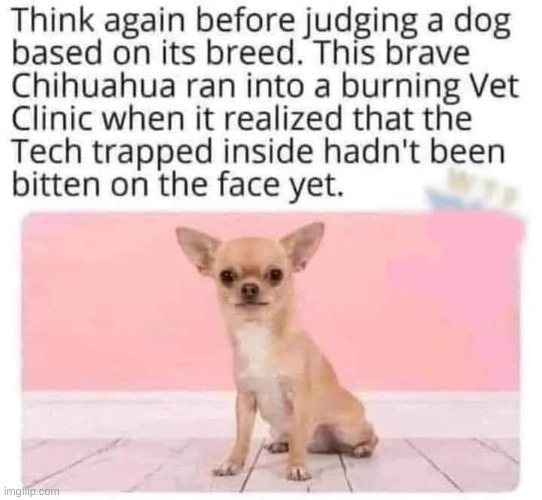 1749233654778.png