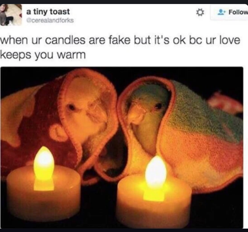 1749403523890.png
