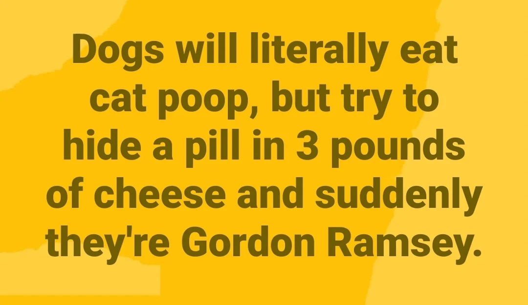 1749403962609.png