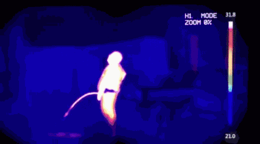1749416764752.gif