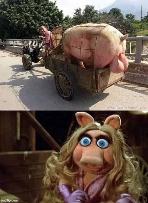 1749563026057.png