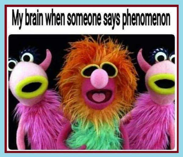 1749641320517.png