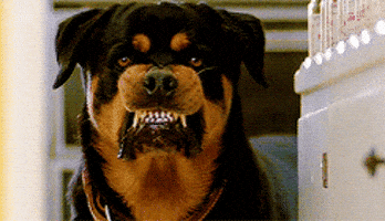 1749790660508.gif