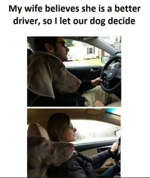 1749858096726.png