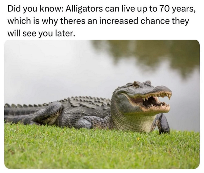 1749867878164.png