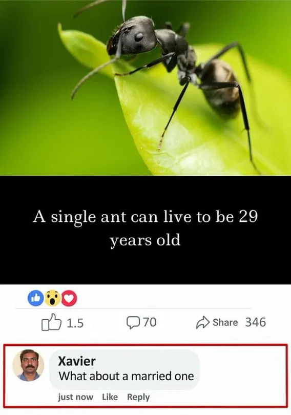 1749902556217.png