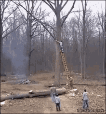 1750001639445.gif