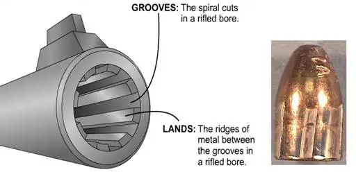 1750091278299.png