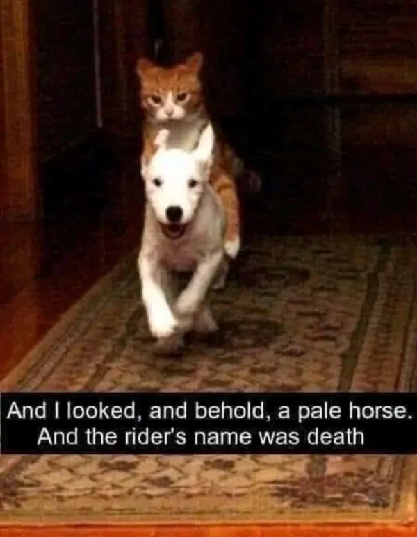 1750127059010.png