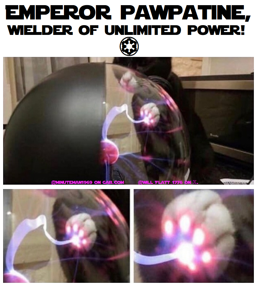 1750127202217.png