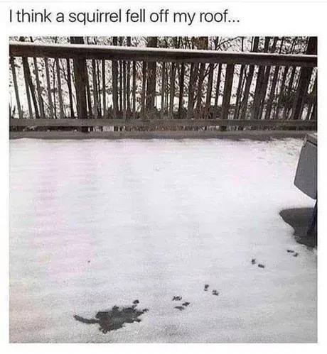 1750199285099.png
