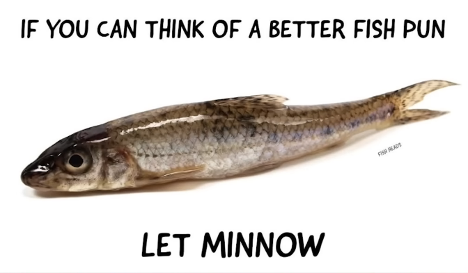 1750300812301.png