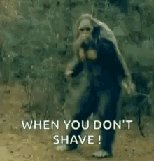 1750349816363.gif