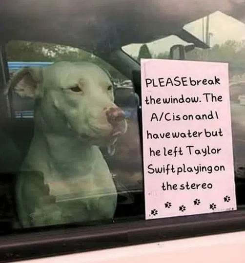 1750414628524.png