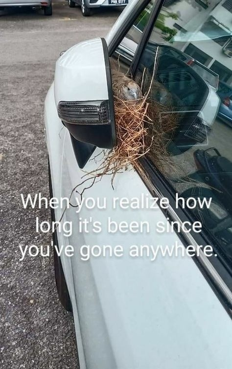 1750419497871.png
