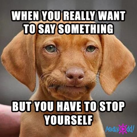 1750423835493.png