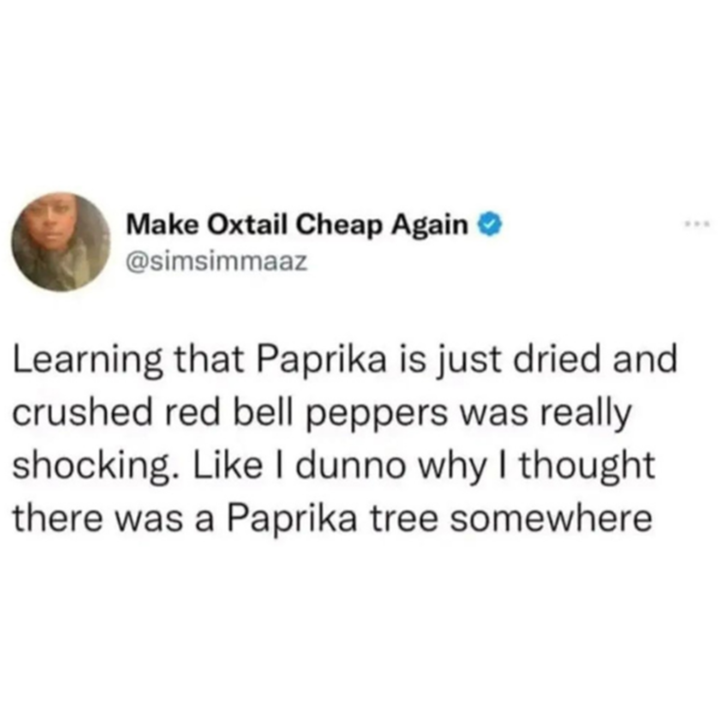 1750454135298.png
