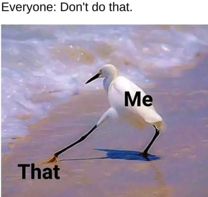 1750454416403.png