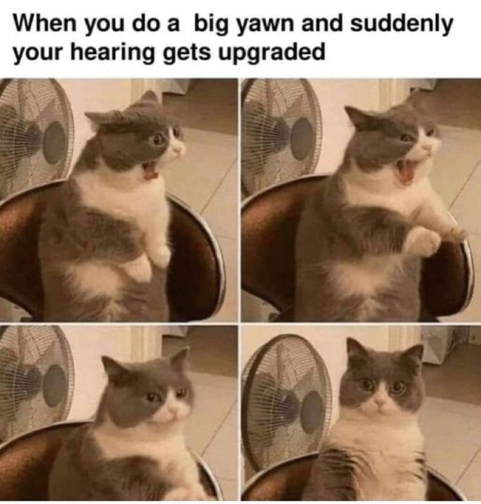 1750468177229.png