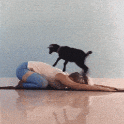 1750636620678.gif