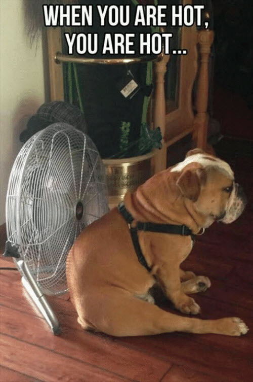 1750708250405.jpeg
