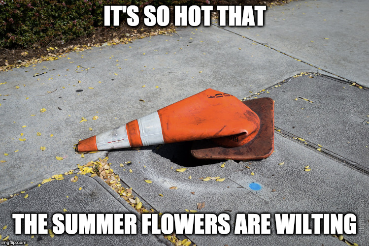 1750708276919.jpeg