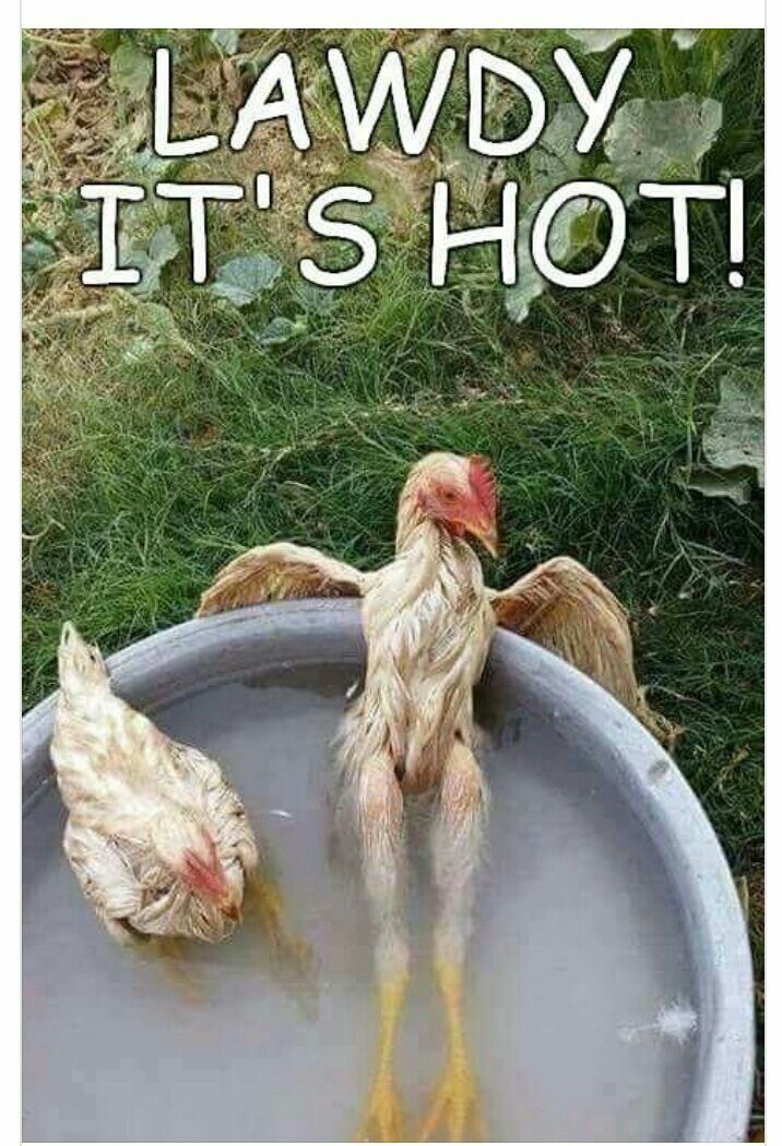 1750708375608.jpeg
