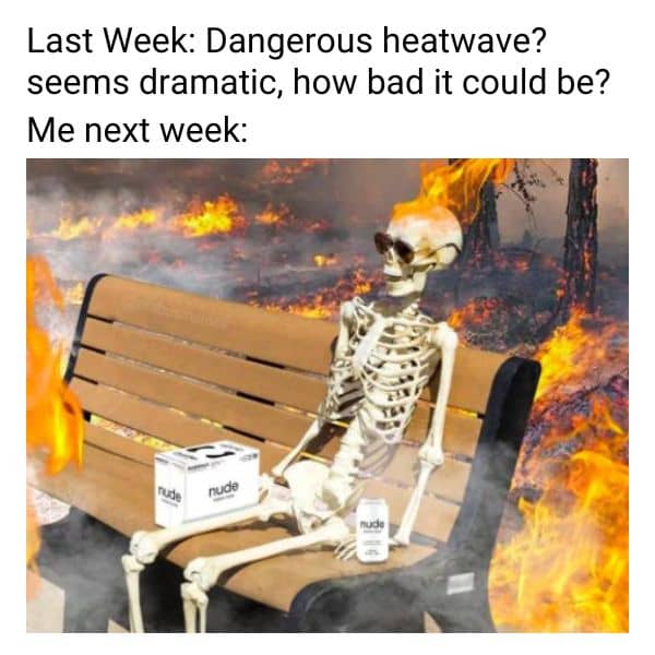 1750877356042.jpeg