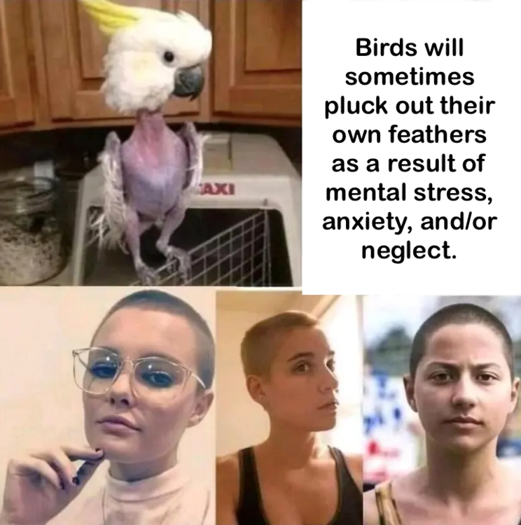 1751115653413.png
