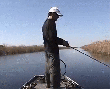 1751167772375.gif
