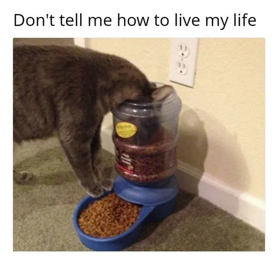 1751279147677.png