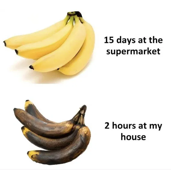 1751309425042.png