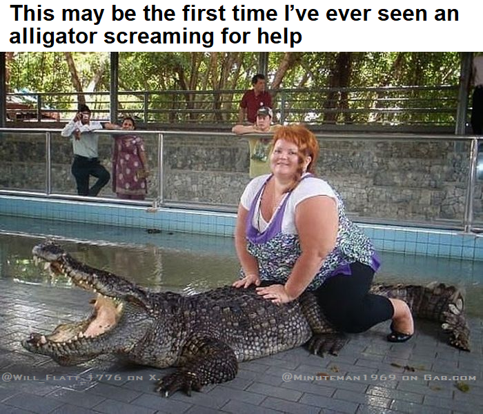 1751382435760.png