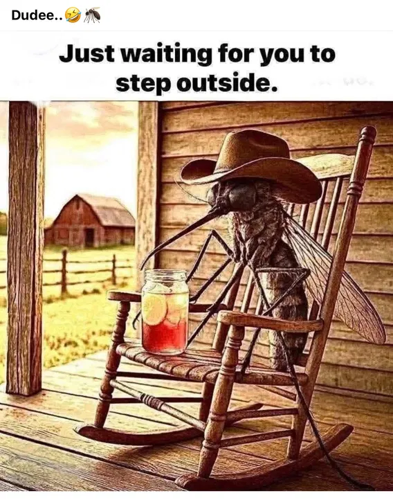 1751408422526.png