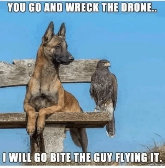 1751464963378.png