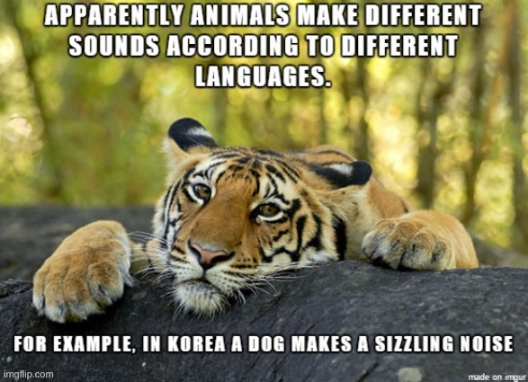 1751550657822.png