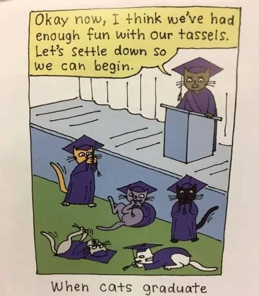 1751804615723.png