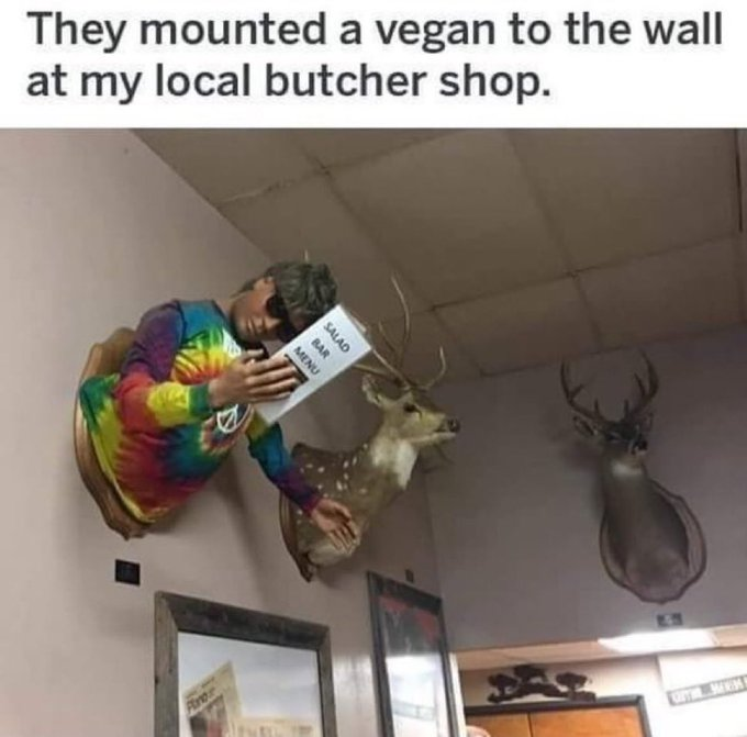 1752093355404.png