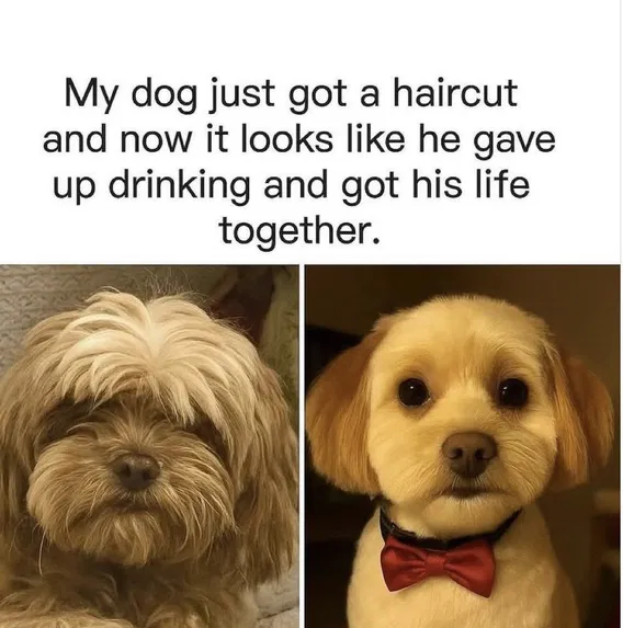 1752106162747.png
