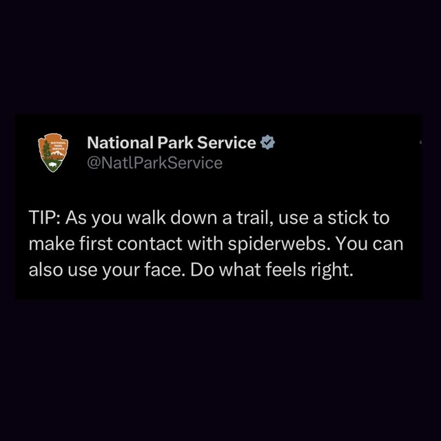 1752260163687.png
