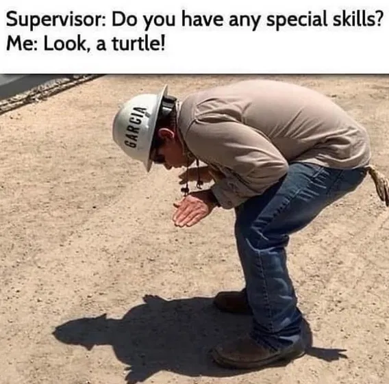1752415894919.png