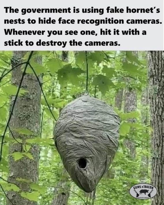 1752679082423.png