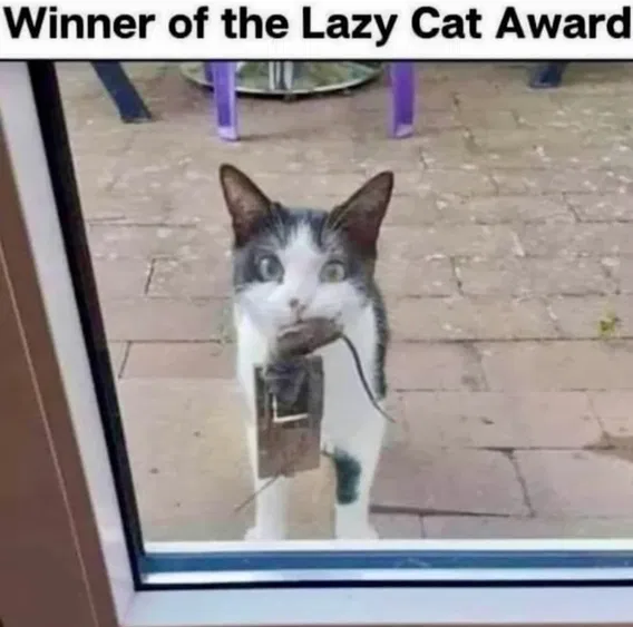 1753045950182.png