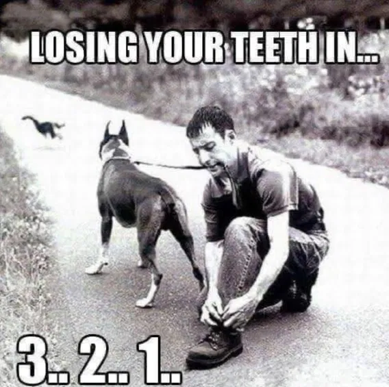 1753046478932.png