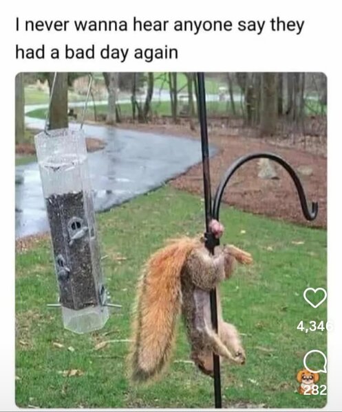 1753187573546.jpeg