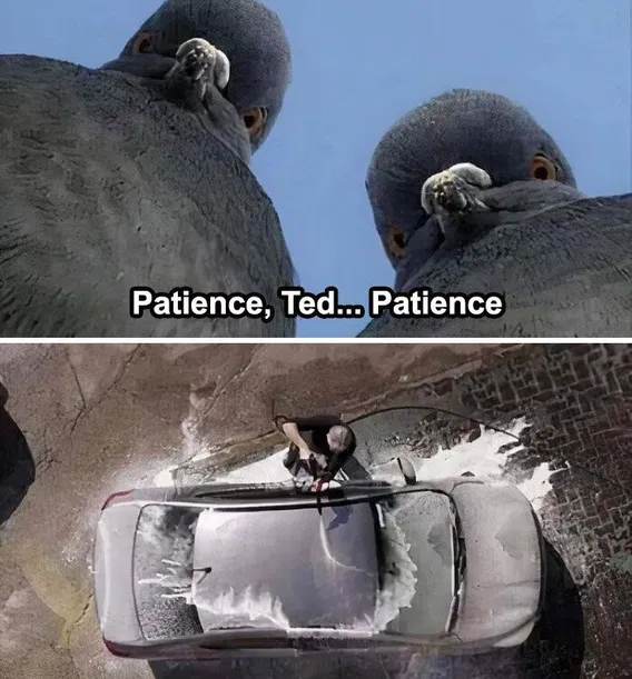 1753432701193.png